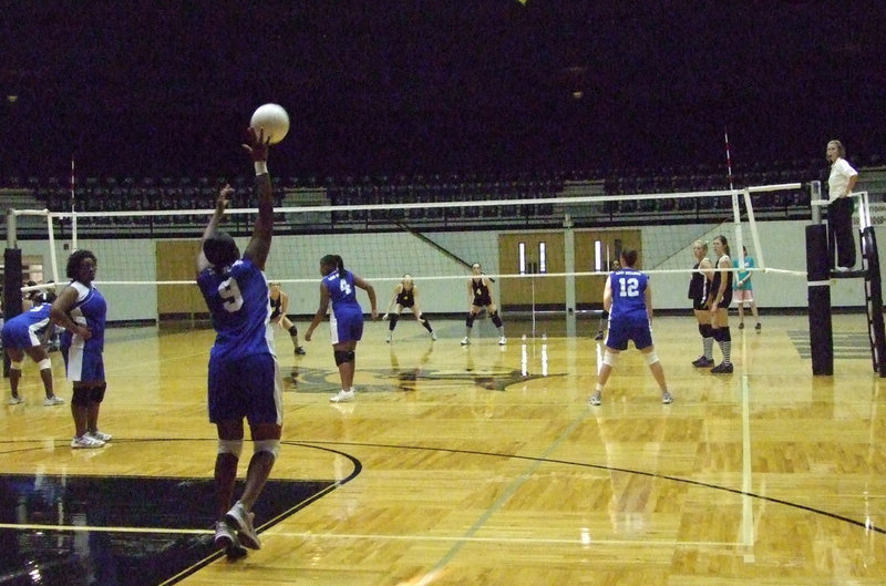 Image: Lady Bulldogs serve — Singleton serves the ball to the Lady Gladiators.
