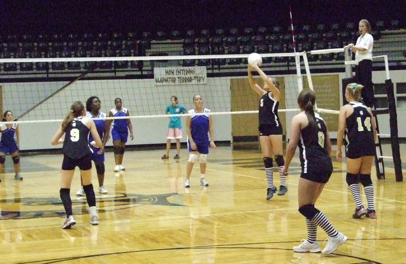 Image: DeMoss sets — Senior, Becca DeMoss sets the ball.