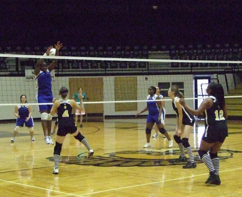 Image: Milford jumps