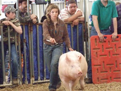 Image: Teamwork — Morgan Cockerham and her hog keep their eyes on the judge.