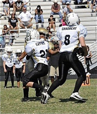 Image: Pressure on the QB