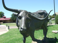 Image: Longhorns and ranching — The National Ranching Heritage Center holds a lot of history for this area. The museum works on donations only and is a treasure in the Panhandle Plains.