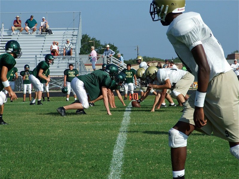 Image: The opening snap