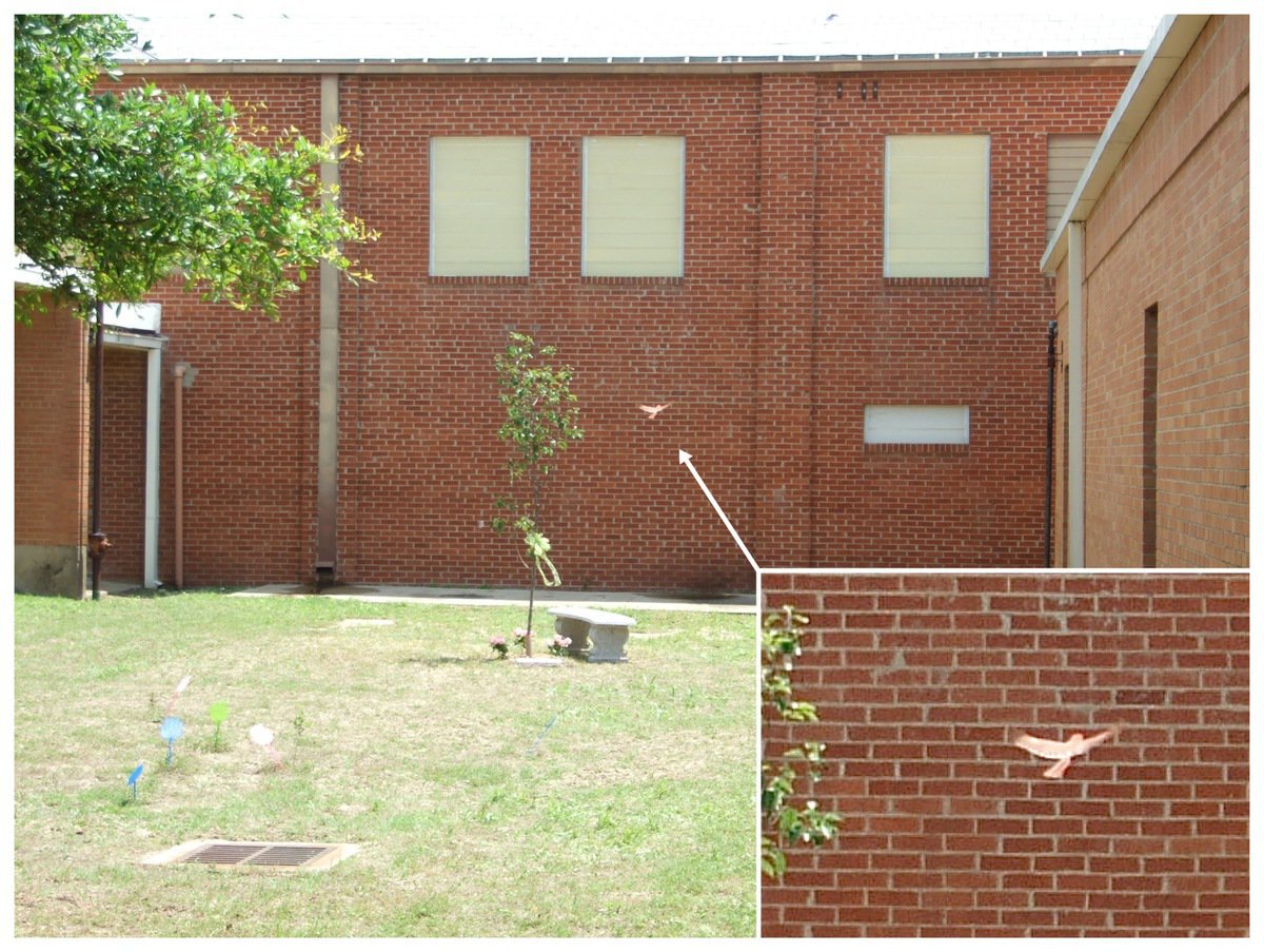 Image: Wings… — After the courtyard emptied, I returned for one last wide picture of Shelley’s Memorial Garden, later realizing I captured an amazing image. It reminded me of line Shelley added to an image included in her Fate of Dreams collection: And then, you were there…