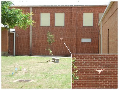 Image: Wings… — After the courtyard emptied, I returned for one last wide picture of Shelley’s Memorial Garden, later realizing I captured an amazing image. It reminded me of line Shelley added to an image included in her Fate of Dreams collection: And then, you were there…