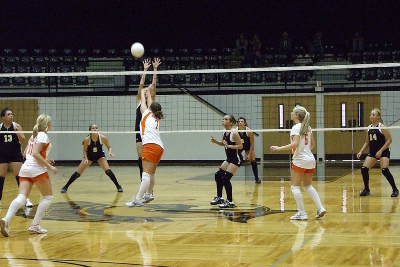 Image: Avalon vs Lady Gladiators