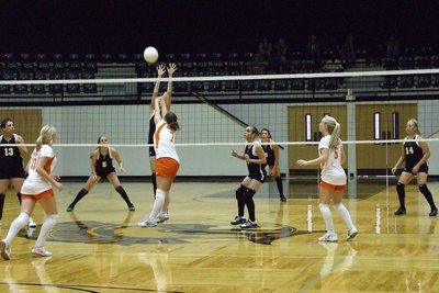 Image: Avalon vs Lady Gladiators