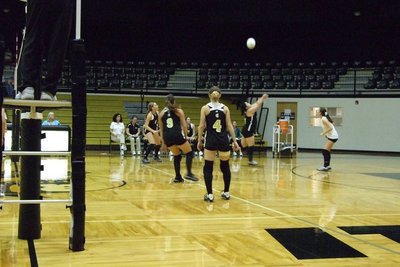 Image: Avalon vs Lady Gladiators