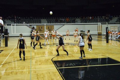 Image: Avalon vs Lady Gladiators