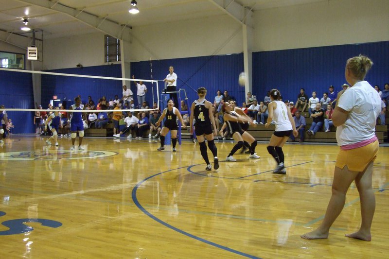 Image: Lady Gladiators vs Lady Bulldogs