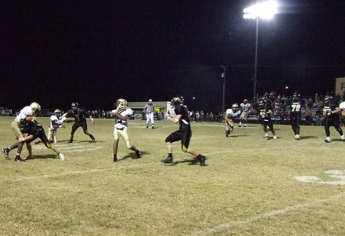 Image: Bulldog tries to stop