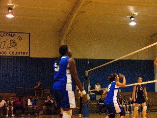 Image: Ready to receive.