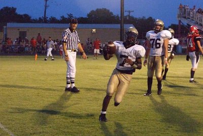 Image: Gladiators vs Panthers