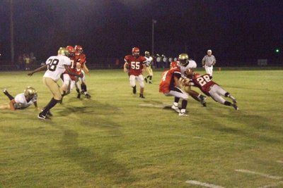 Image: Gladiators vs Panthers