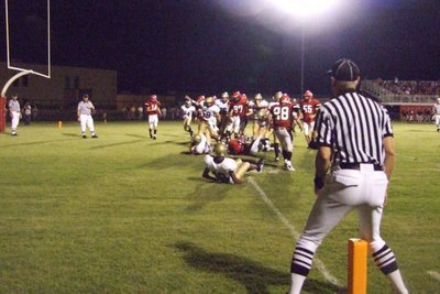 Image: Gladiators vs Panthers