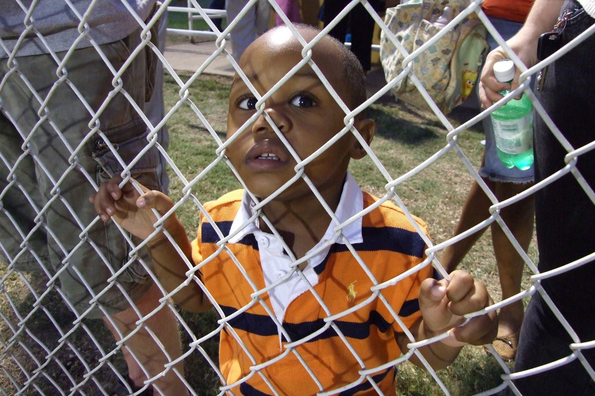 Image: Palmer vs Italy — One of the Gladiators youngest fan.