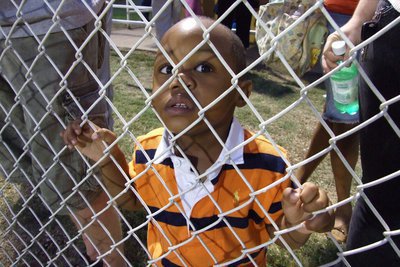 Image: Palmer vs Italy — One of the Gladiators youngest fan.