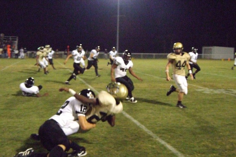 Image: Taking a hit — Tiger tangles with a Gladiator.