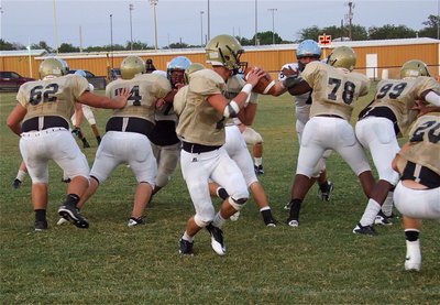 Image: Jase Holden(7) drops back behind his wall of blockers.