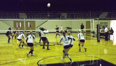 Image: Jimesha Reed has the power and shows the Lady Tigers what Italy has in store.