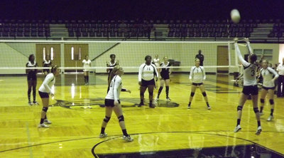 Image: Kaitlyn Rossa sets up the ball.