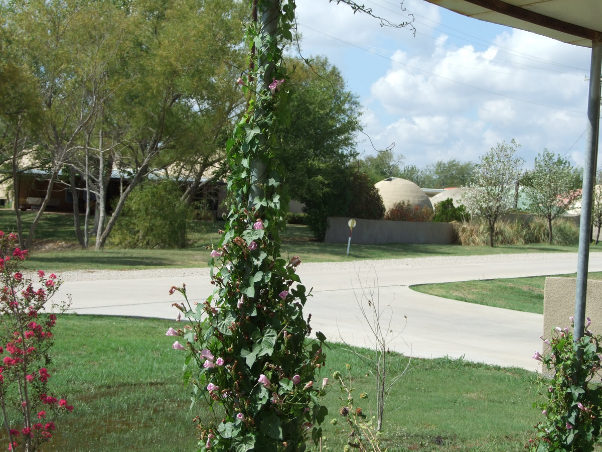 Image: You are welcome to visit five residential domes, the office and cabins on Saturday, Oct. 15 10am-4pm.