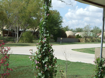 Image: You are welcome to visit five residential domes, the office and cabins on Saturday, Oct. 15 10am-4pm.