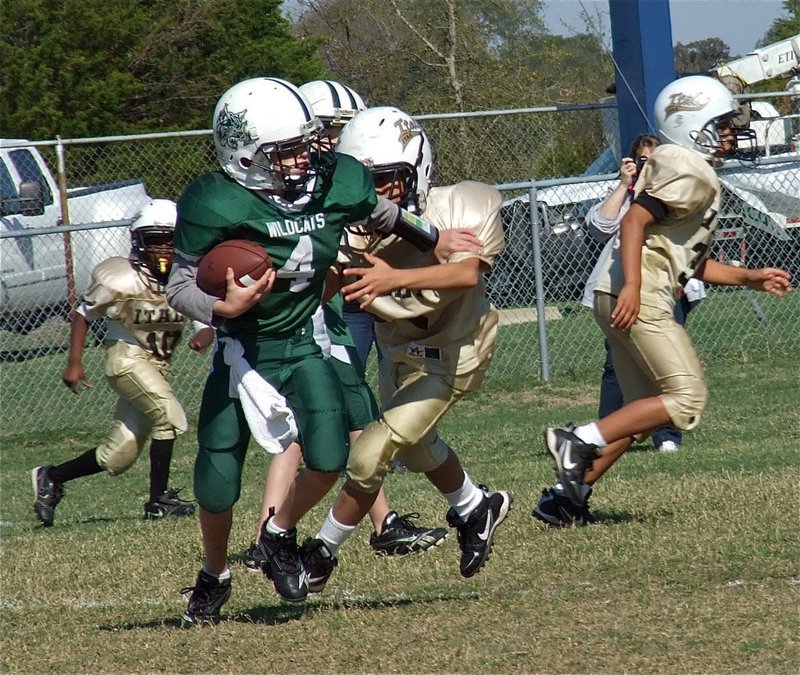 Image: IYAA B-Team defender Michael Gonzalez(22) has the Wildcat quarterback in his sights.