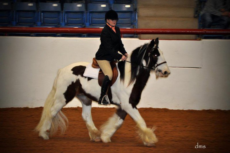 Image: Another of Horse Feathers Darby and Hinz.