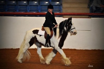 Image: Another of Horse Feathers Darby and Hinz.