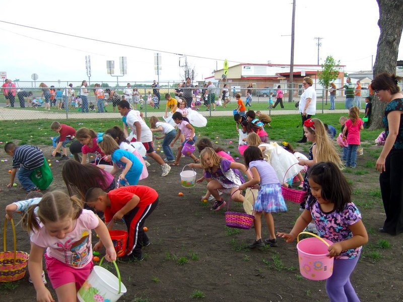 Image: My oh my how many eggs can I get?