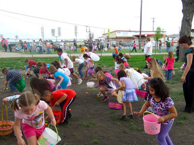 Image: My oh my how many eggs can I get?