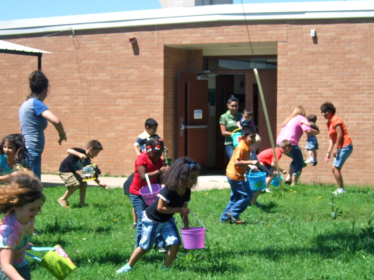 Image: Where are all the eggs?