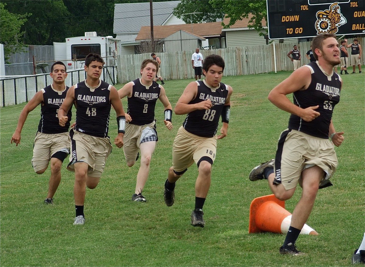 Image: Liking the effort by the Gladiators!