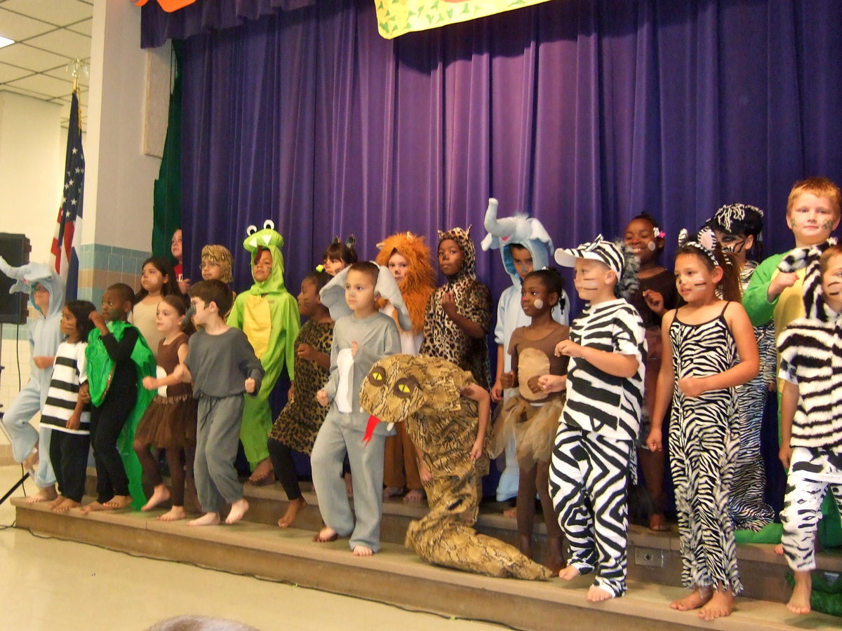 Image: Here are all the animals.