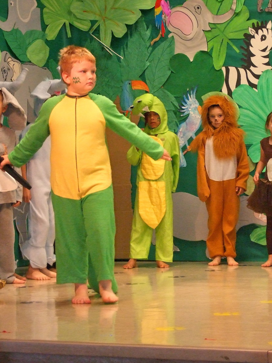 Image: Here comes Bryce Ballard the crocodile strutting his stuff.