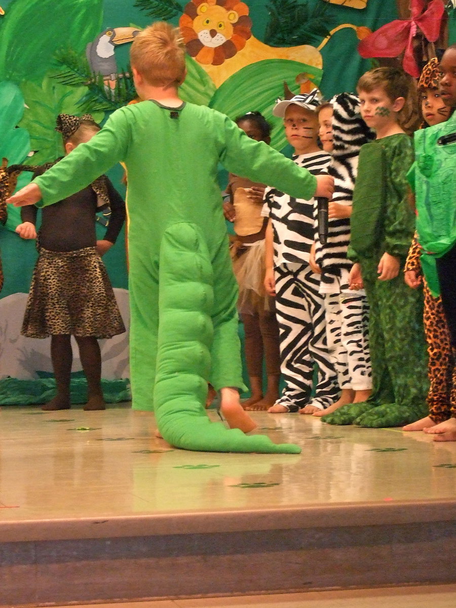 Image: He is stalking his prey.