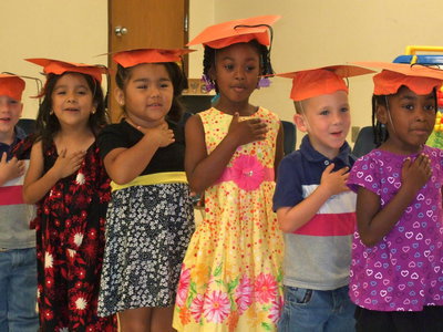 Image: I Pledge Allegiance to the Flag.