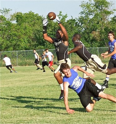 Image: Jalarnce Jamal Lewis(24) and Marvin Cox(3) breakup a Wortham pass.