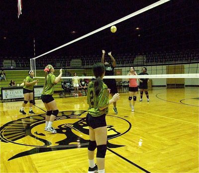 Image: Brendetta keeps the volley going!