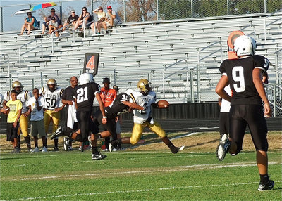 Image: Italy’s Marvin Cox(2) tries to reach the 1st down marker.