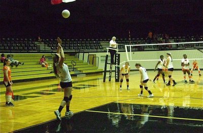 Image: Madison Washington(10) serving up winners for Italy.