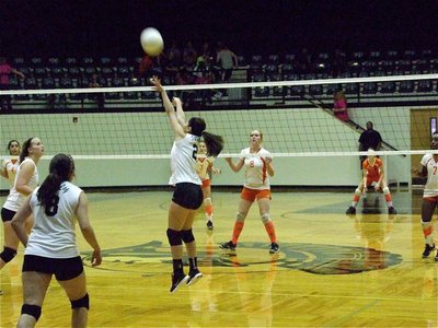 Image: Lady Gladiator Paola Mata(2) sets the ball.