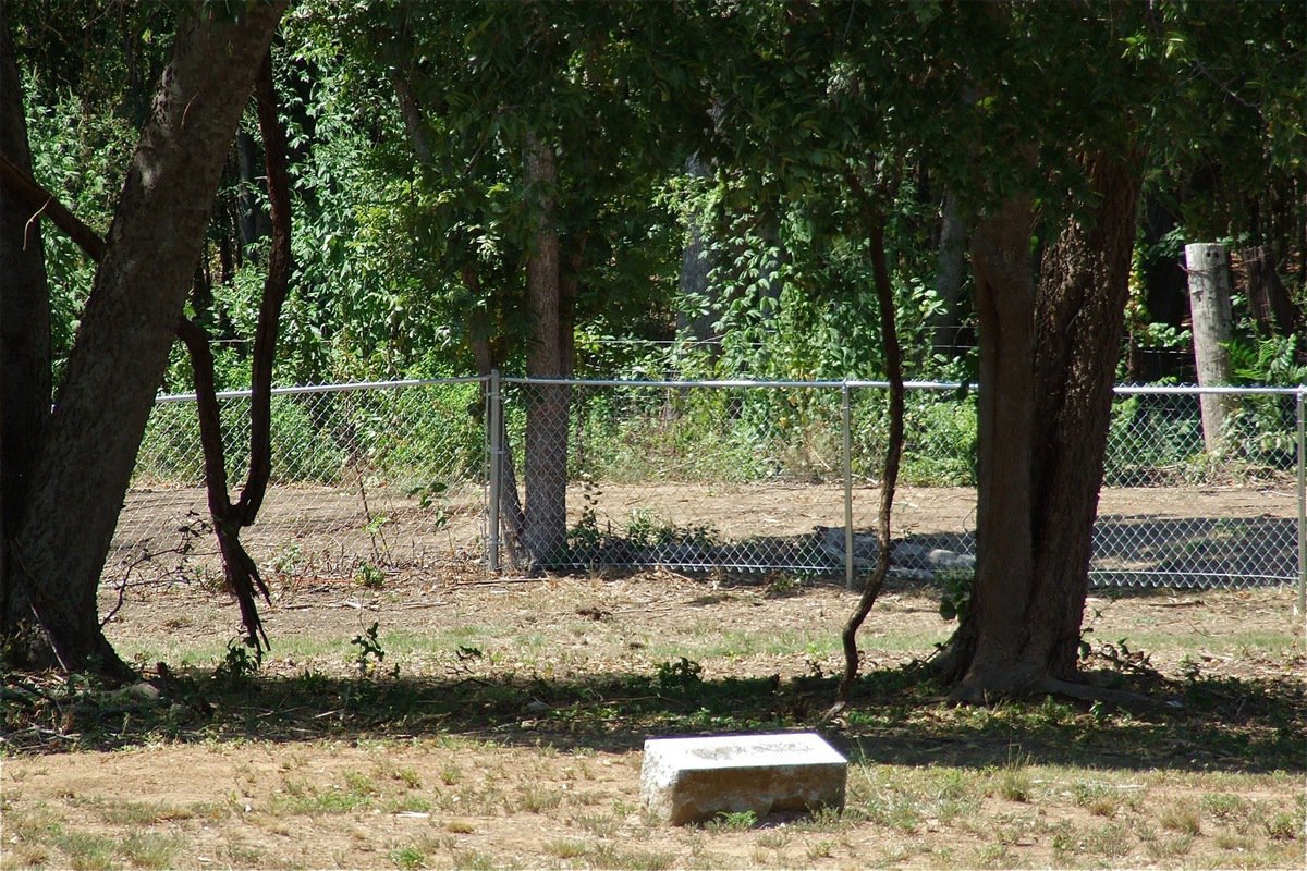 Image: A better view of an area of the cemetery where the foliage had been removed by bulldozers and where the new chain-link fence is constructed inside the cemetery. Beyond the fence is the road carved out by Creek Land & Cattle Company.