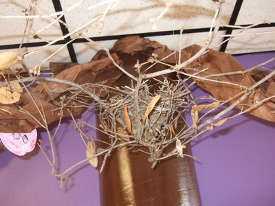 Image: A real bird nest in this tree.