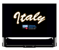 Image: Stadium Chair