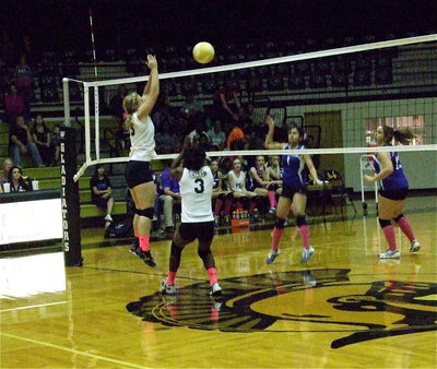 Image: Jaclynn Lewis(15) rises as the left blocker for Italy with Kortnei Johnson(3) ready to react.