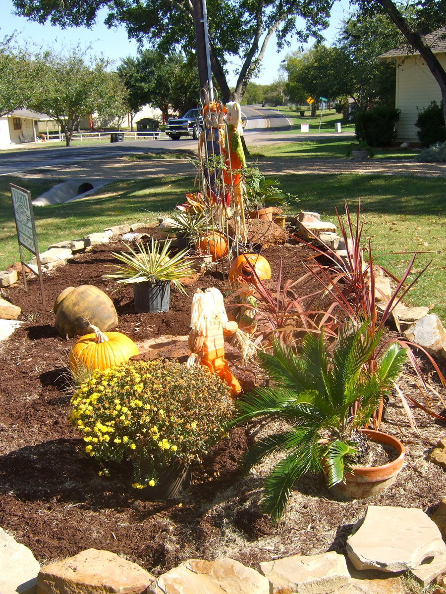 Image: Some of the pumpkins shown here came from Fairfield and some of the rocks came from nearby Avalon and all the way from Arizona!