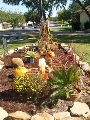 Image: Some of the pumpkins shown here came from Fairfield and some of the rocks came from nearby Avalon and all the way from Arizona!