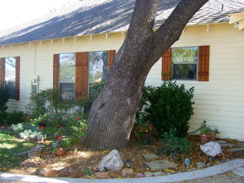 Image: Rock gardens with beautiful plants and flowers adorn their beautiful landscape.